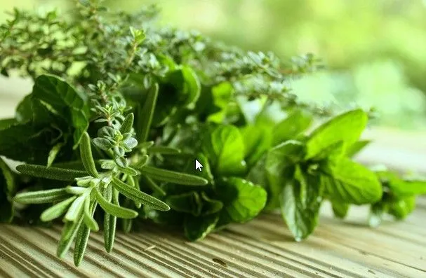 Скриншот 11-03-2023 094502.jpg