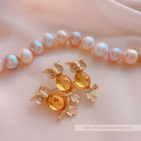 JJ/JONET JEWELRY Брошь «Солнечные совушки»