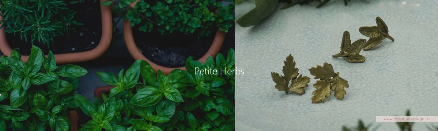 MICHAEL MICHAUD Брошь "Ароматные травы: с натуральным жемчугом"