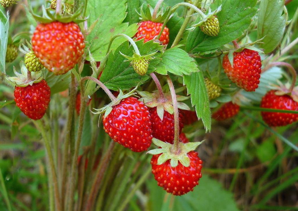 2593133.jpg 2593133.jpg