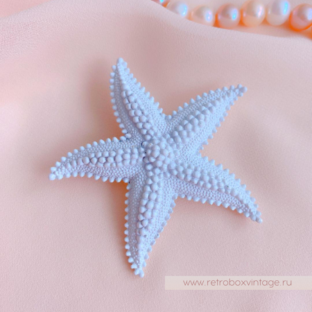 MONET Комплект «Тайны морских глубин»