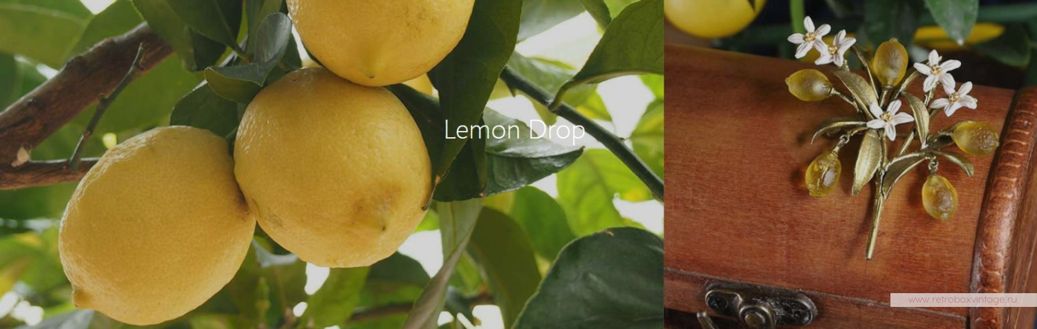 MICHAEL MICHAUD Брошь «Веточка лимона с цветами» музейная коллекция