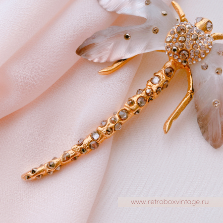 ALEXIS BITTAR Брошь "Бежевая стрекоза"