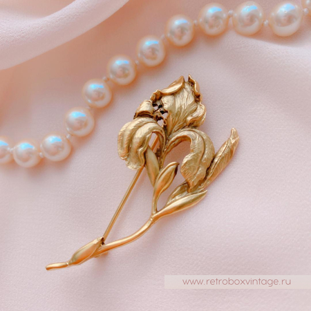 NGA / NATIONAL GALLERY OF ART Брошь «Нежный ирис»