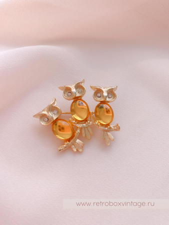 JJ/JONET JEWELRY Брошь «Солнечные совушки»