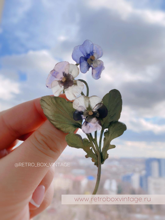 MICHAEL MICHAUD Брошь «Анютины глазки: три цветка» коллекция Pansies (уценка)