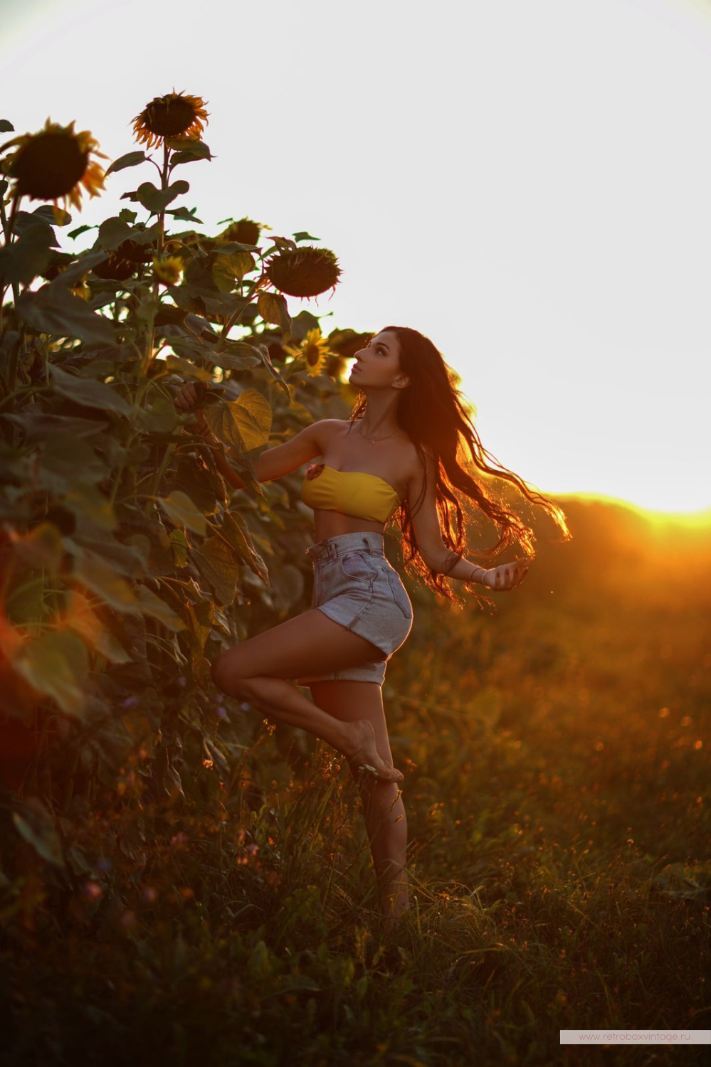 LEA STEIN Брошь «Кошечка: рыжий арлекин» черные глазки