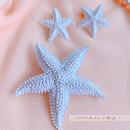 MONET Комплект «Тайны морских глубин»